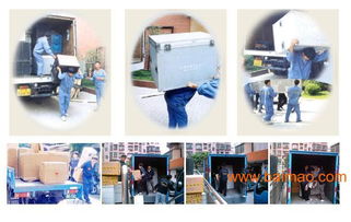 臺江區搬家公司價格與口碑服務指南